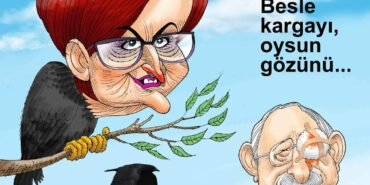 FB_IMG_1695294790069