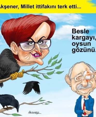 FB_IMG_1695294790069