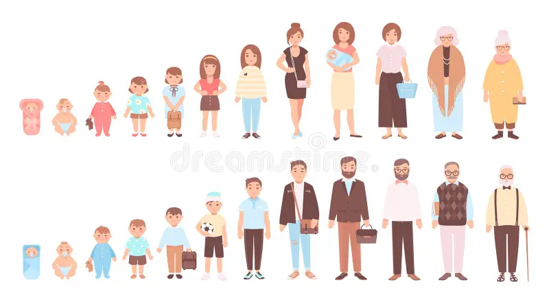 concept-life-cycles-man-woman-visualization-stages-human-body-growth-development-aging-baby-child-teenager-adult-old-person-101926093