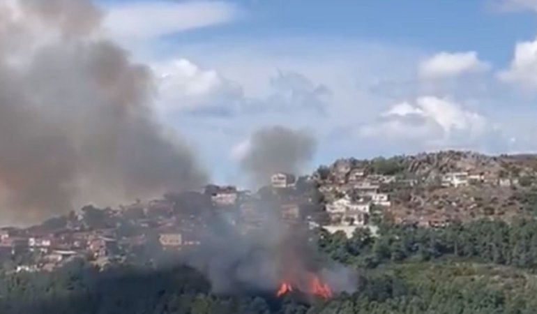 Maltepe’de Orman Yangını Çıktı