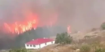 orman-yangini-5OlA_cover