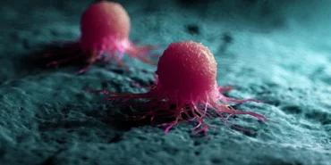 shutterstock_1176407554