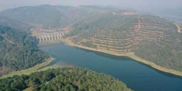 1vMh4_TKtUy-lWXNskcQjQ