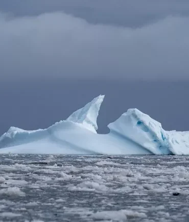 773x435_cmsv2_0deb4108-9b13-59c4-9aa2-7b6a5632564f-8032182