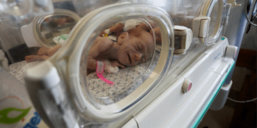 Screenshot-2023-11-20-at-08.50.15-1700470241