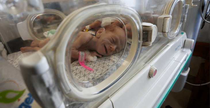 Screenshot-2023-11-20-at-08.50.15-1700470241