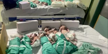 isgalci-israil-vahsette-s-552_2-41