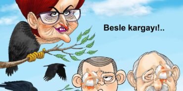 FB_IMG_1701882338986