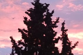 IMG_20231231_144049_768