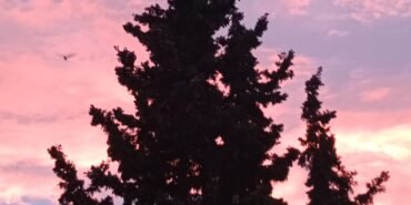 IMG_20231231_144049_768