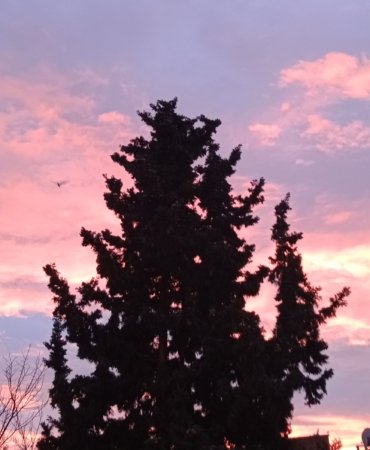 IMG_20231231_144049_768