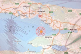 adsiz-kopya-aidw_cover