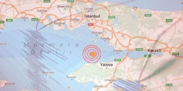 adsiz-kopya-aidw_cover