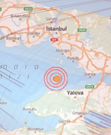 adsiz-kopya-aidw_cover