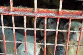 zeytinburnu102-e1703858976909