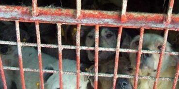 zeytinburnu102-e1703858976909