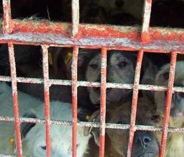 zeytinburnu102-e1703858976909