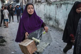 4KWFG7W_000_34EF8FD_jpg