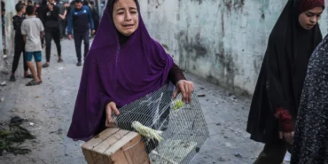 4KWFG7W_000_34EF8FD_jpg