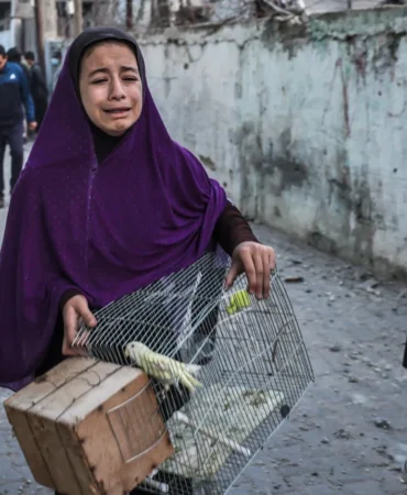 4KWFG7W_000_34EF8FD_jpg