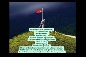 SEHITLER-OLMEZ-700x420