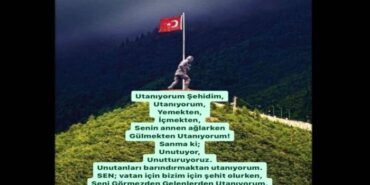 SEHITLER-OLMEZ-700x420