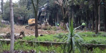 WhatsApp-Image-2024-01-31-at-12.56.15