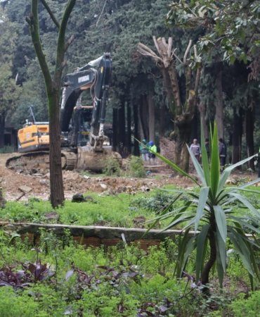 WhatsApp-Image-2024-01-31-at-12.56.15