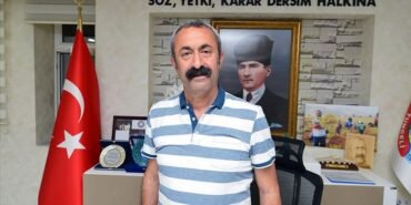 thumbs-b-c-5a96110228eec67cef6cb07e99fef2c6