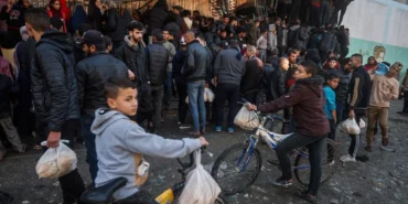 AP24054564785757-1708765193