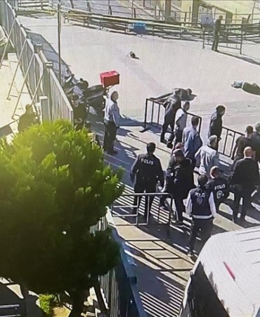 thumbs_b_c_eb7b89591f361cd34e66a49bb3ecf379