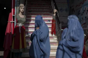 1920x1080_cmsv2_8588198a-e3ef-58c5-85b8-e02832902b04-8295622