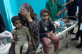 AP23316527186182-1699822107