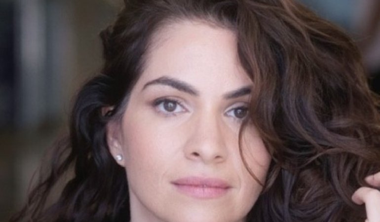 Anat-Schwartz-Wikipedia