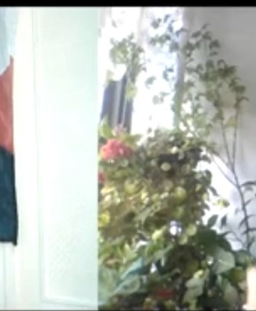 IMG_20240426_111534_679