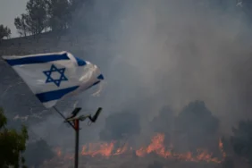 666a4bf8e73ad4.95590328