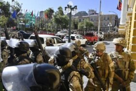 667c77ce25000031007c1979