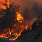 izmir-yangin-aa-2249351