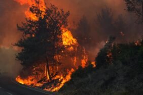 izmir-yangin-aa-2249351