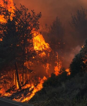 izmir-yangin-aa-2249351