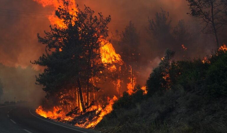 Türkiye 8 ilde çıkan yangınlarla boğuşuyor! İzmir, Aydın, Çanakkale, Kahramanmaraş…