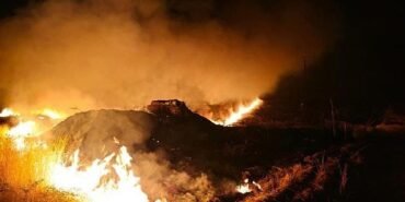 mardin-ve-diyarbakir-da-aniz-yangini-5146