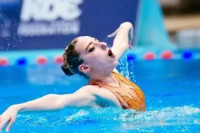 s-2f91cd5b13a41357befda00b595091f665ab9946