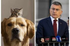 449745611_1516960209190575_3612554457738708024_n