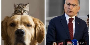 449745611_1516960209190575_3612554457738708024_n