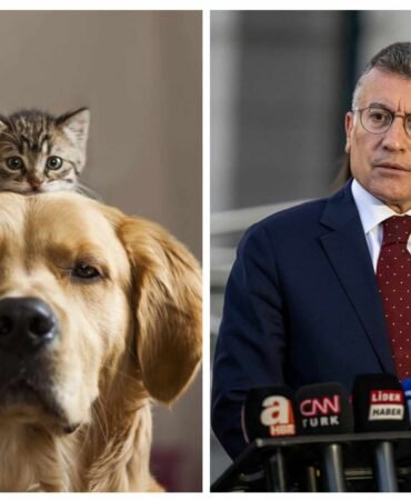 449745611_1516960209190575_3612554457738708024_n