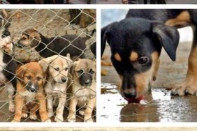 452581330_401315653059022_8641413068208103704_n