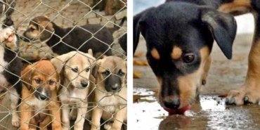 452581330_401315653059022_8641413068208103704_n