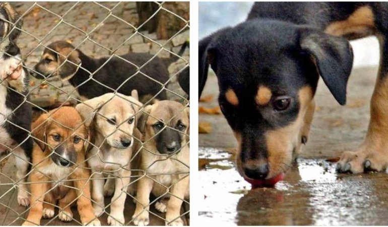 452581330_401315653059022_8641413068208103704_n