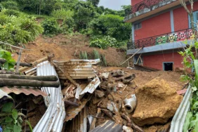 66913558db5853.65960060